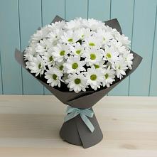 Букет цветов из:  Хризантемы #REPLACE_PRED# Духовницкое