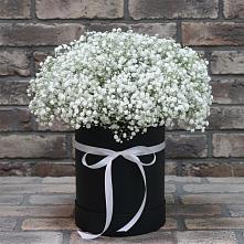 Цветочная композиция из Гипсофила в шляпной коробке #REPLACE_PRED# Духовницкое